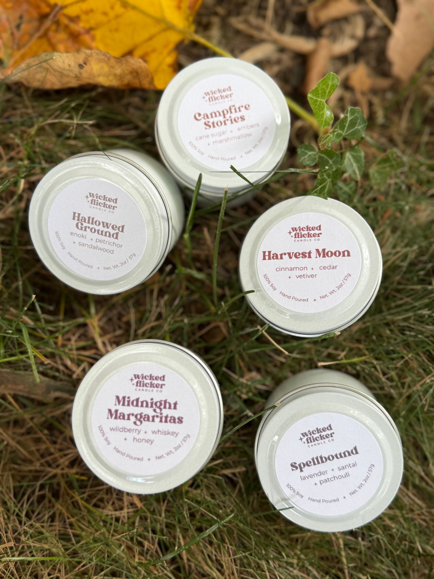 Fall Discovery Box